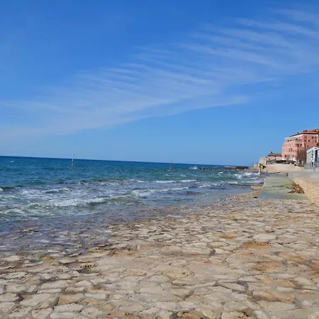 Milan Novigrad Istria